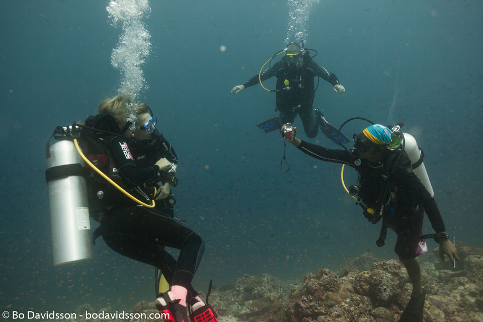 BD-150424-Maldives-8093-Homo-sapiens.-Linnaeus.-1758-[Diver].jpg